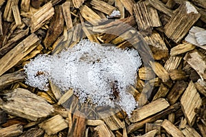 Snowy wooden mulch in the spring