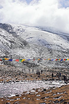 snowy zero point, beautiful alpine valley is popular tourist place in north sikkim, in india