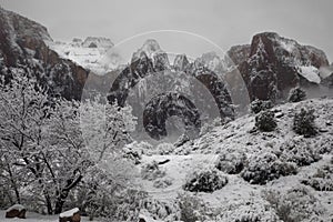 Snowy Zion National Park