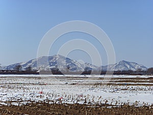 After the snowï¼Œ Chinese northern wilderness