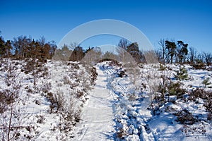 snwo covered hills of the Sallandse Heuvelrug, Landscapes of the Holterberg near Holten, The Netherlands