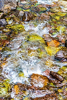 Snyder Creek Cascading Over Multicolored Stones