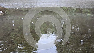 Soak bog car reflection