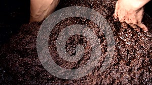 Soak the coconut shell`s hair in water for Dilute tannic acid