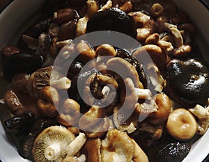 Soak dried Shiitake mushrooms in water