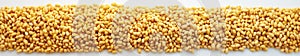 Soak soybeans closeup