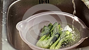 Soak wilted bok choy to avoid food loss and wastage