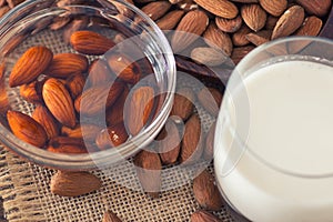 Soaked almonds and almond milk photo