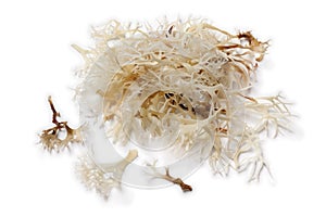 Soaked irish moss