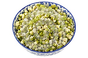 Soaked Mung Bean (Green gram) sprouts