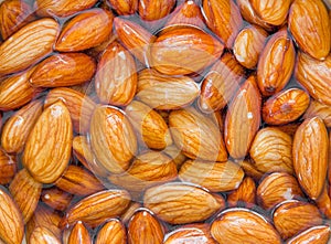 Soaked raw almonds nuts in water