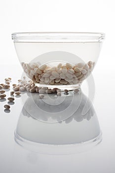 Soaked and scattered beans on white with reflection