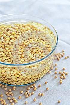 soaked soy bean or soya bean in a glass bowl.