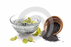 Soaked sweet basil or tukhmaria or falooda seeds or sabja seeds in a bowl with raw sweet basil seed isolated on white with a mint