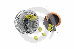 Soaked sweet basil or tukhmaria or falooda seeds or sabja seeds in a bowl with raw sweet basil seed isolated on white with a mint