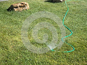 Soaker hose and sprinkler on green grass
