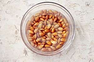 Soaking Almonds In Water photo