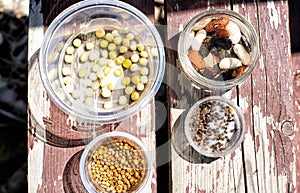 Soaking seeds for planting