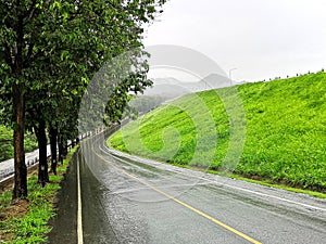 A soaking wet, tree lined, Thai countryside, curved road, during a tropical downpour.