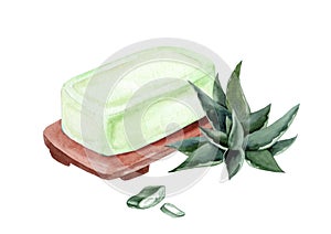 Soap with aloe vera extract. Watercolor hand drawn illustration