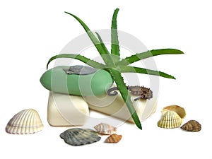 Soap with aloe vera leaves