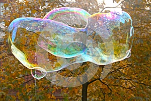Soap bubble