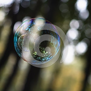 Soap bubble.