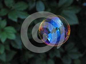 Soap bubble