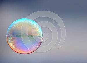 Soap bubble on gray