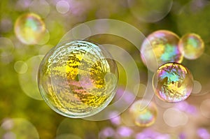 Soap bubble, green vegetal background photo