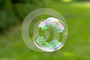 Soap Bubble isolated on green summer background. Kids fun activity.