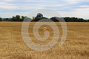 Soap bubble and large yellow wheat fields after picking up and the gloomy sky in the background