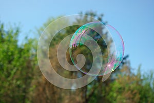 Soap Bubble with Reflections