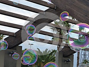 Soap bubble in Spain, festive day