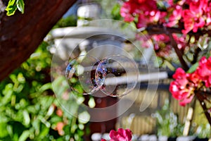 Soap bubbles