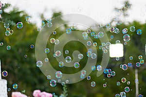 Soap bubbles blurred in the background. Blur bubble party.