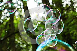soap bubbles close-up on a background of sun and greenery, abstract background, positive mood, holiday, carelessness photo