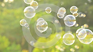 Soap bubbles floating in the air with natural green blurred bokeh background for children and kids in the park