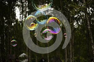 Soap bubbles fly through air. Balloons on background of forest. Soap solution for holiday