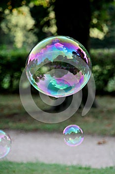 Soap bubbles fly in the air