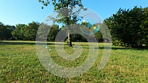 Soap bubbles are flying ower green park in summer