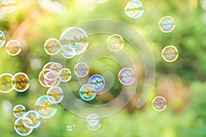 Soap bubbles on green nature background