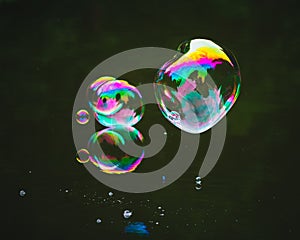 Soap bubbles on lake water surface