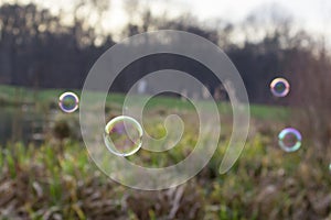 Soap bubbles in nature photo