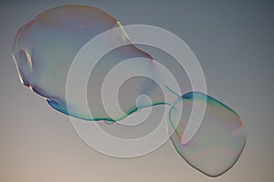 Soap bubbles with rainbow reflection. Buble at the blue sky. Bubble party.