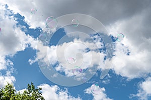 Soap bubbles soaring outdoor on sunny summer day real image photography