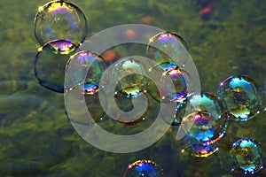 Soap bubbles on water