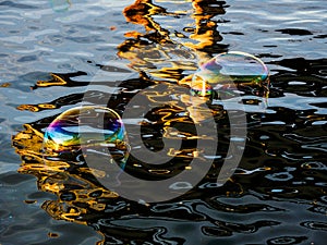 Soap bubbles on the water surface
