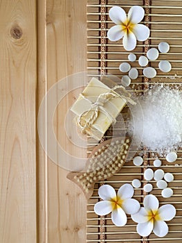 Soap and fish shaped brush