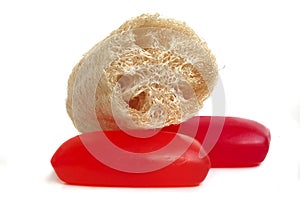 Soap and loofah sponge